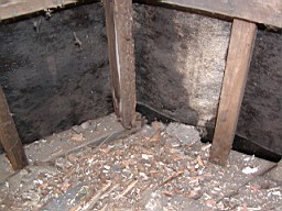 clarmont-1679.JPG
