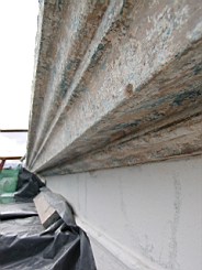 clarmont-2138.JPG