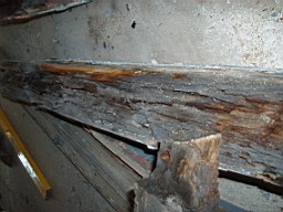 clarmont-4083.jpg
