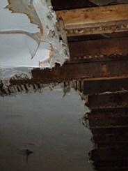 oakleyroad-1318.jpg