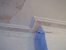 oakleyroad-1330.jpg
