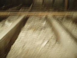 oakleyroad-1390.jpg