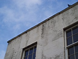 oakleyroad-1557.jpg