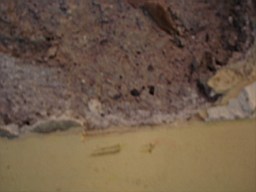 oakleyroad-1974.JPG