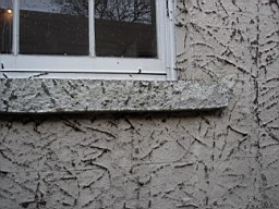 oakleyroad-2037.JPG
