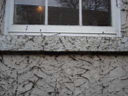 oakleyroad-2040.JPG