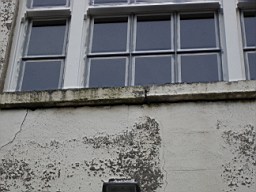 oakleyroad-2115.JPG