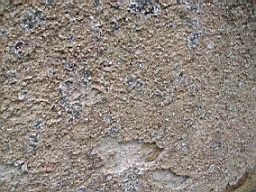 drumkeeran-1107.jpg