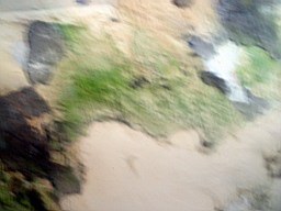 drumkeeran-1306.jpg