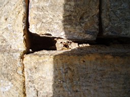 drumkeeran-1602.jpg