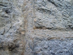 drumkeeran-2217.jpg