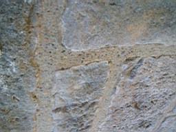 drumkeeran-2234.jpg