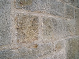 drumkeeran-2255.jpg