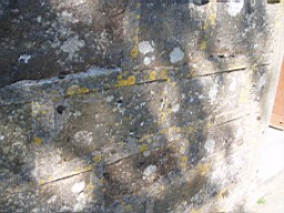kiltibrid-1104.jpg