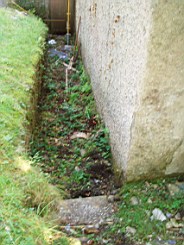 kiltibrid-1106.jpg
