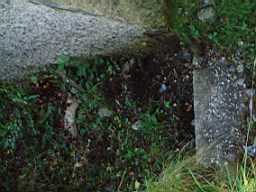 kiltibrid-1107.jpg