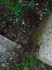 kiltibrid-1108.jpg