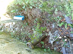 kiltibrid-1114.jpg