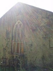 kiltibrid-1117.jpg