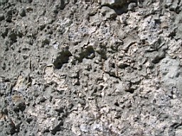 kiltibrid-1123.jpg