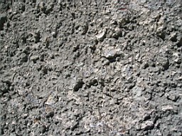 kiltibrid-1124.jpg