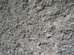 kiltibrid-1125.jpg