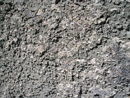 kiltibrid-1126.jpg