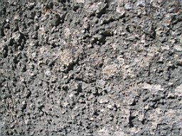 kiltibrid-1127.jpg