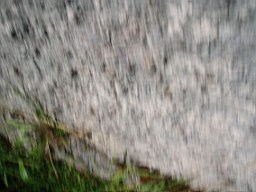 kiltibrid-1128.jpg