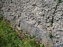 kiltibrid-1129.jpg