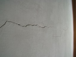 kiltibrid-1145.jpg