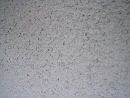 stewartArmagh-4375.jpg
