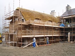stewartArmagh-4392.jpg