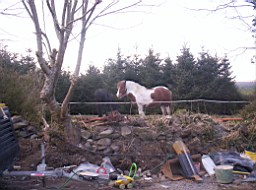 toormore-1880.JPG