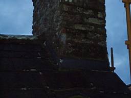 ardglasson-1512.jpg