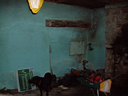 carrowcrory-1223.jpg