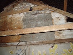carrowcrory-1236.jpg