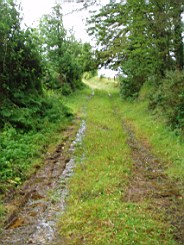 carrowcrory-1520.jpg