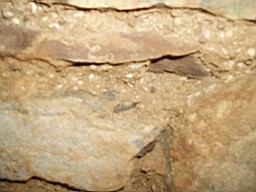 carrowcrory-1637.jpg