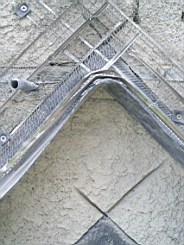 carrowcrory-2368.jpg