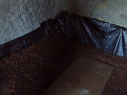 carrowcrory-2740.JPG