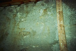 carrowcrory-3159.JPG