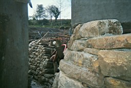 carrowcrory-3918.JPG