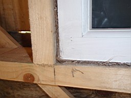 carrowcrory-4102.JPG