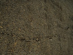 carrowcrory-4610.JPG
