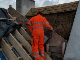 carrowcrory-4632.JPG