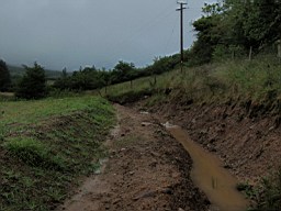 carrowcrory-5469.jpg