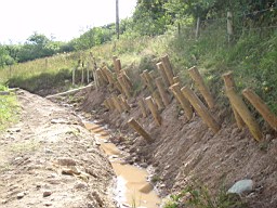 carrowcrory-5520.jpg