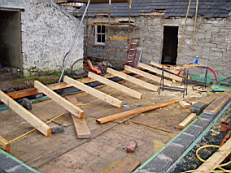 CROBALLY 246.jpg