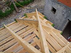 CROBALLY 457.jpg
